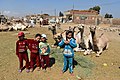 * Nomination Birqash Camel Market --Hatem Moushir 08:35, 15 October 2017 (UTC) * Promotion  Support Good Quality --Shishir 4:06, 15 October 2017 (UTC)