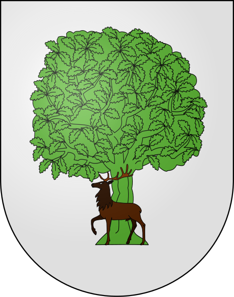 File:Blason Es famille Burguete (Navarre).svg