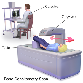 Blausen 0095 BoneDensitometryScan.png