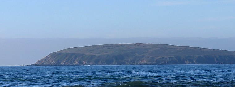 Bodega Head