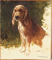 Študija psa, morda 1860-ih, Princeton University Art Museum