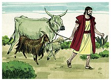 "And he took all these" (1984 illustration by Jim Padgett, courtesy of Distant Shores Media/Sweet Publishing) Book of Genesis Chapter 15-6 (Bible Illustrations by Sweet Media).jpg