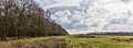 Bosrand. Locatie, natuurgebied Delleboersterheide – Catspoele.