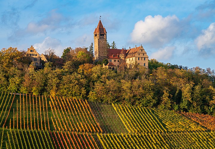 Виноградник у подножия замка Штоксберг в окрестностях Бракенхайма, Баден-Вюртемберг
