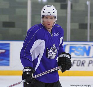 <span class="mw-page-title-main">Brian Willsie</span> Canadian ice hockey player