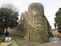 Castell de Brunyola (Brunyola i Sant Martí Sapresa)