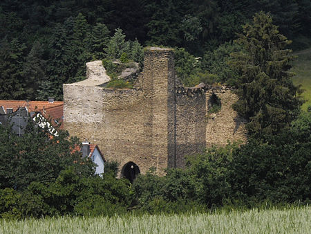 Burg Wallrabenstein JR A40 0669 2009 06 13