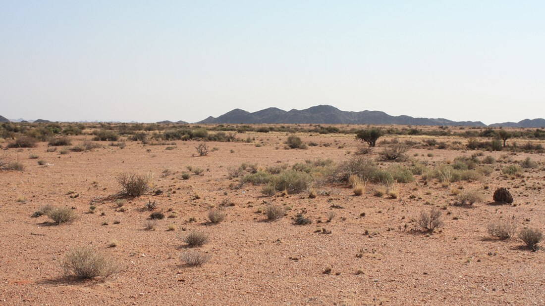 Bushmanland, Northern Cape