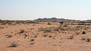 Thumbnail for Bushmanland, Northern Cape