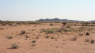 <span class="mw-page-title-main">Bushmanland, Northern Cape</span> Arid region in Namaqualand, South Africa