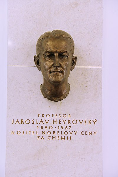 File:Busta profesora Jaroslava Heyrovského.jpg