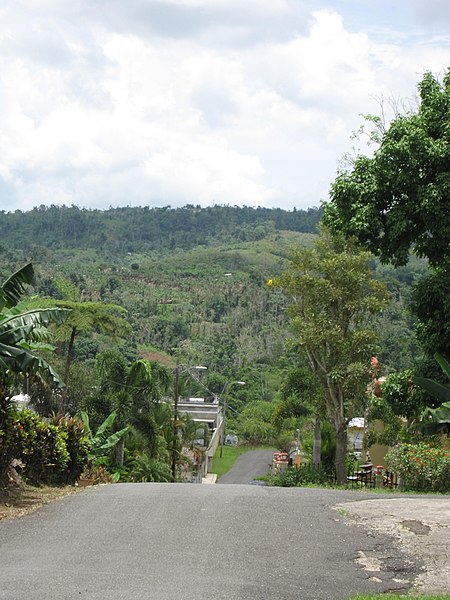 File:Camino Olivencia, Perchas 2, San Sebastián, Puerto Rico.jpg