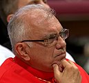 Cardinal Baltazar Porras Cardozo in 2016 (cropped).jpg
