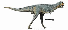 Profül elafa Carnotaurus.