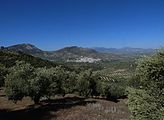 Quesada vom Cerro Frío