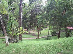 Cerro Nutibara-Bosque3-Medellin.JPG