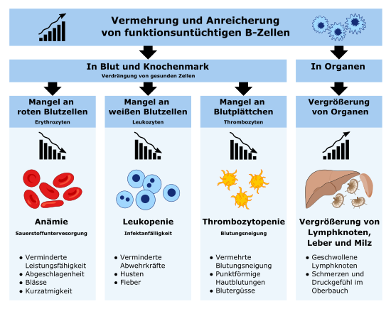 Chronische Lymphatische Leukämie: Epidemiologie, Pathogenese, Diagnose