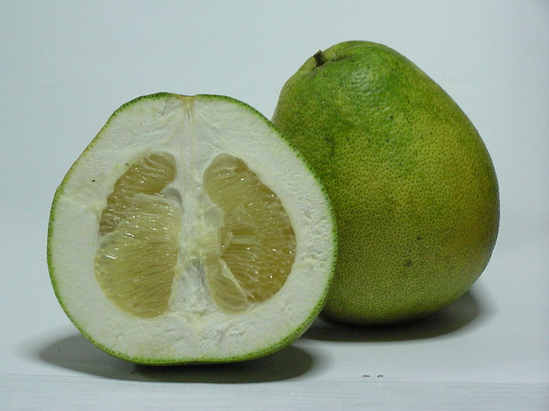 File:Citrus Grandis - Honey White - original.jpg