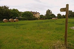 Clifton Common, Goldcliff Clifton Common at Goldcliff - geograph.org.uk - 969999.jpg