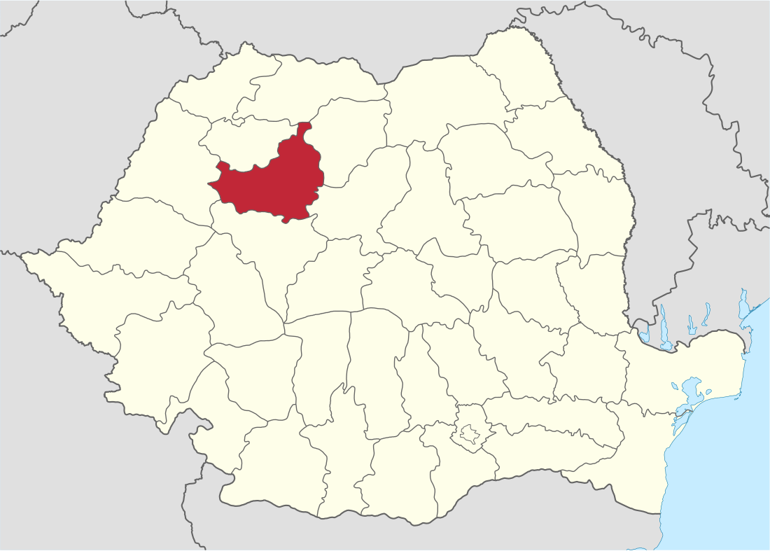 District Cluj