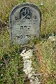 Cmentarz żydowski w Żarkach62.jpg