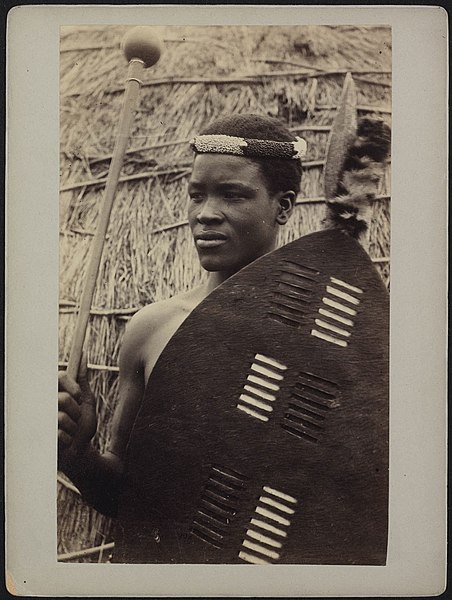 File:Collectie NMvWereldculturen, RV-A15-105, foto- Portret van een jongeman met groot schild en speer met een brede punt, fotograaf- Trappisten Missie Mariannhill, 1894-1897.jpg