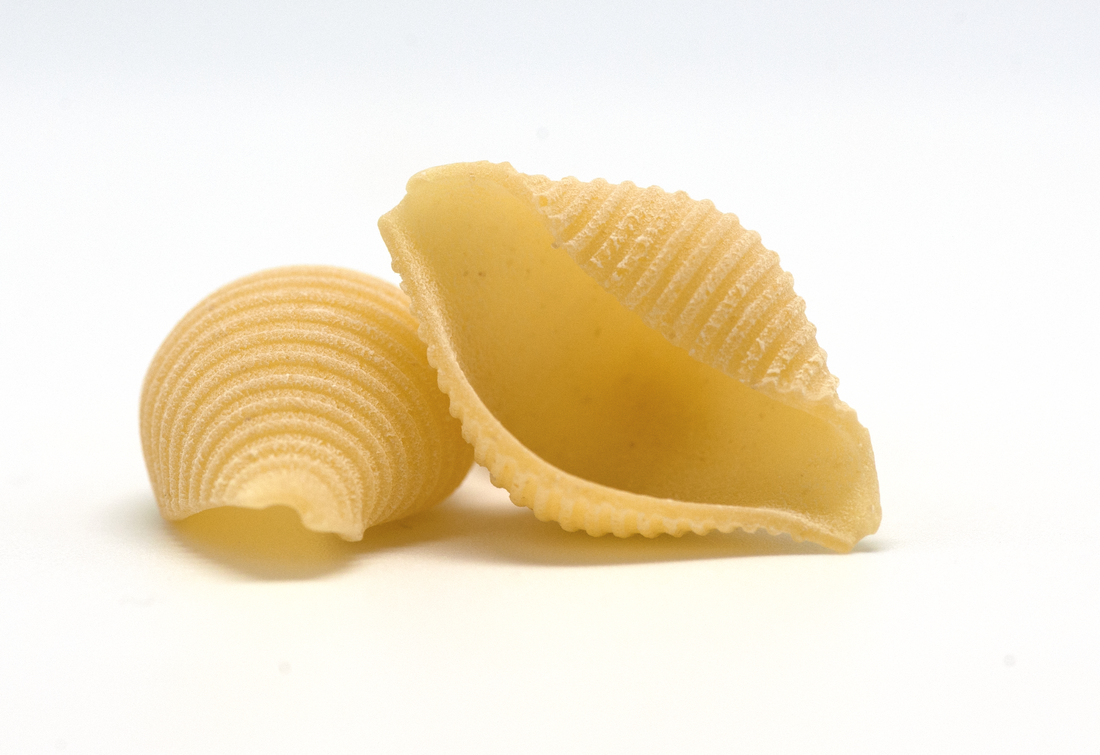 Conchiglie (pasta)