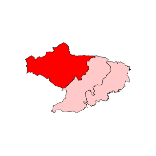 <span class="mw-page-title-main">Gudalur Assembly constituency</span> One of the 234 State Legislative Assembly Constituencies in Tamil Nadu, in India