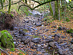 Copeland Creek (California)