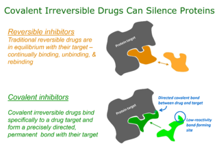 <span class="mw-page-title-main">Targeted covalent inhibitors</span>