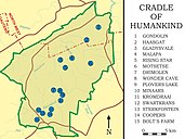 Carte montrant en détail le site du « berceau de l'humanité », en Afrique du Sud. La grotte de Malapa, où fut découvert Australopithecus sediba, est indiquée par le numéro 4.