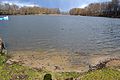 Deutsch: Badestelle am Weinbergsee in Diedersdorf, Gemeinde Vierlinden, Teil des Landschaftsschutzgebietes "Seenkette des Platkower Mühlenfließes / Heidelandschaft Worin".