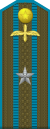 Junior Commander