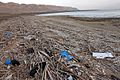 Dead sea ecological disaster - Litter on Mineral beach 1.jpg