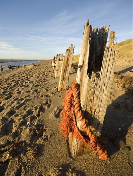 File:Decaying posts on Spurn - geograph.org.uk - 3690061.jpg