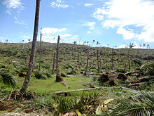 Damage from Typhoon Bopha (locally known as Super Typhoon Pablo) in Davao Oriental in the southeastern Philippines Deforestation in the wake of Typhoon Bopha in Cateel, Davao Oriental.jpg