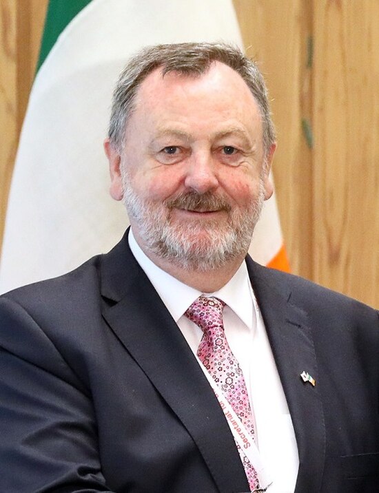 Image: Denis O'Donovan at the Enthronement of Naruhito (1)