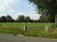 "When cows are lying down in a field, rain is on its way" may not be a scientific prediction, and yet animal behavior at times of changing pressure systems makes for interesting theories. Are cool updrafts or the hovering of flies on their bellies a factor? Do cows know if it's going to rain^ - geograph.org.uk - 993288.jpg