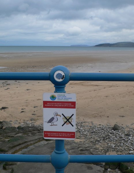 File:Don't feed the birds^ - geograph.org.uk - 1742104.jpg
