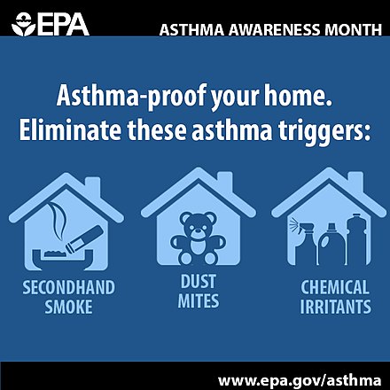 EPA graphic about asthma triggers