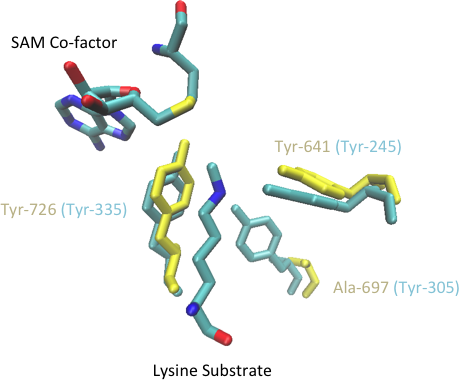 File:EZH2 active site residues.tiff