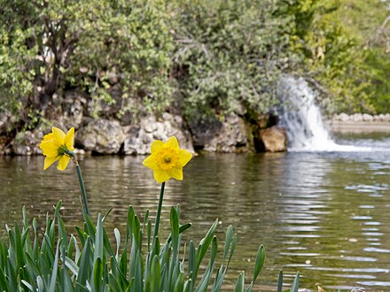 El Capricho garden