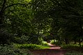 Epping Forest - panoramio.jpg