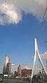 Erasmus's Bridge to Rotterdam 02.jpg