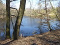 FFM Kesselbruchweiher 3.jpg