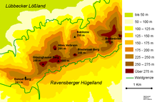 Höhenschichtung des Wiehengebirges um den Glösinghauser Berg