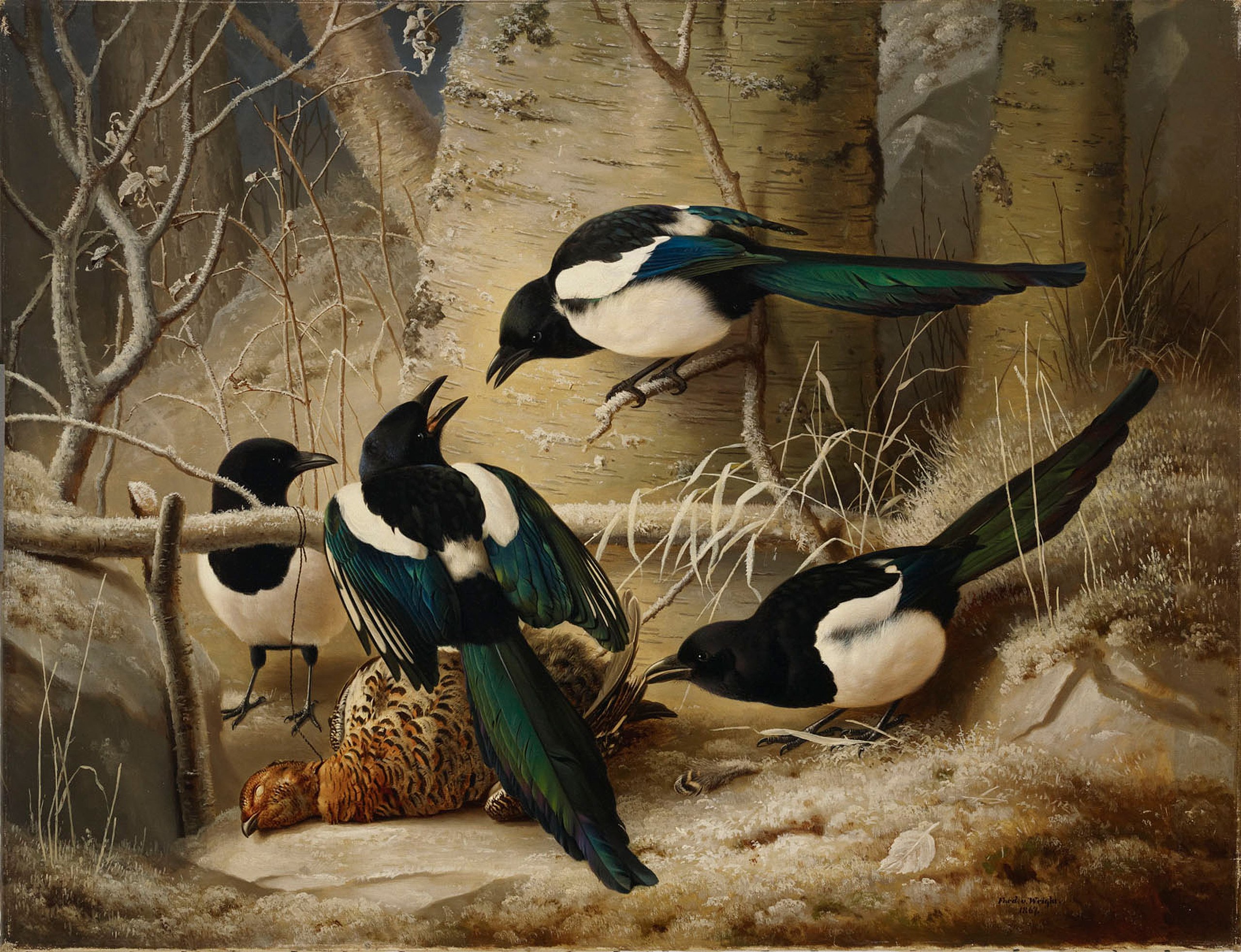 ファイル:Ferdinand von Wright - Magpies round a Dead Woodgrouse ...