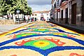 Festividad del corpus christi, 2022. San Vicente de Alcántara (3)