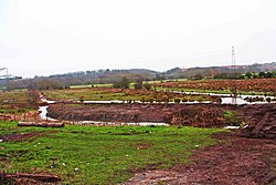Fields near Oldington Bridge, near Kidderminster (geograph 2928972).jpg