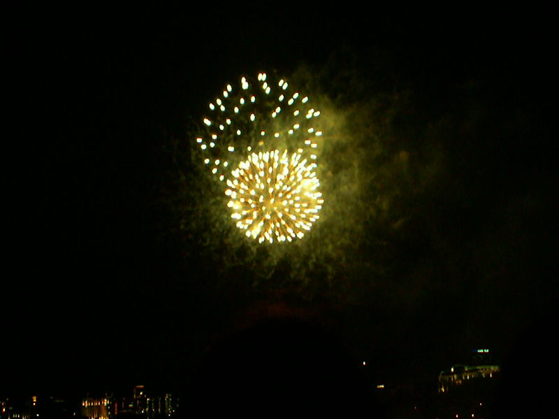 File:Fireworks6.JPG